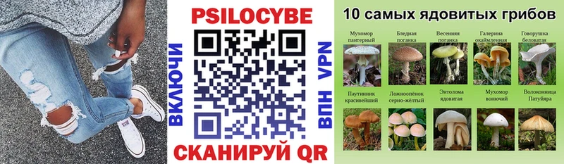 закладка  Лодейное Поле  Псилоцибиновые грибы мицелий 